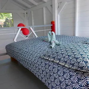 Ti Mango Fil Chalet